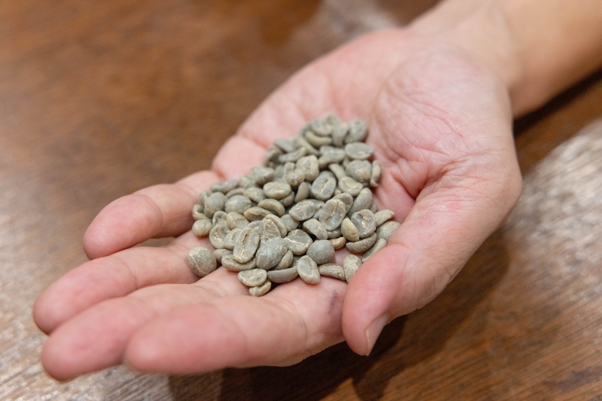 仕入れる豆は、山田さんが厳選したもの