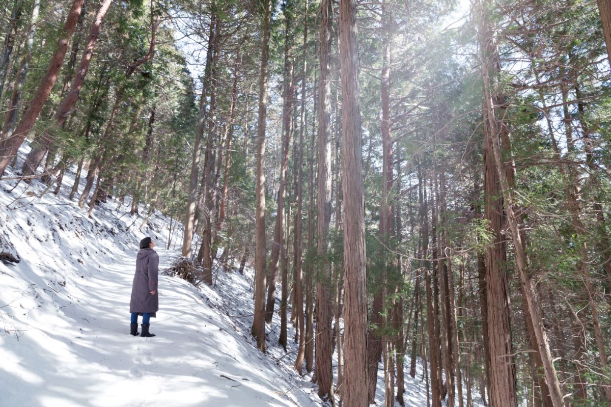 冬の森　ディスカバーウォーク