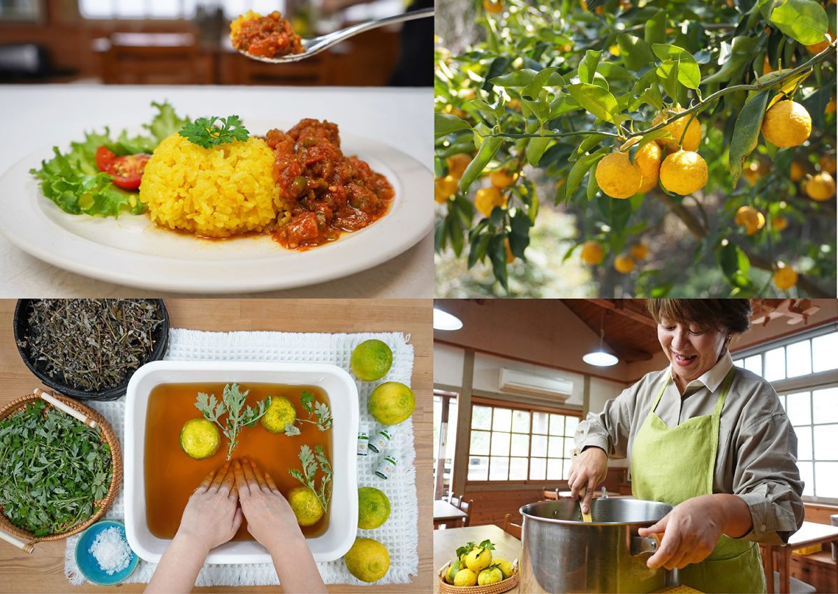 「結びビト～ゆずが繋ぐふるさとで倉岡有美さんに学ぶ温活リトリート～」体験イメージ