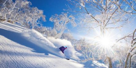 【北海道・2025-2026シーズン】おすすめスキー場14選｜スキーヤーもスノーボーダーも楽しめる人気スポット！