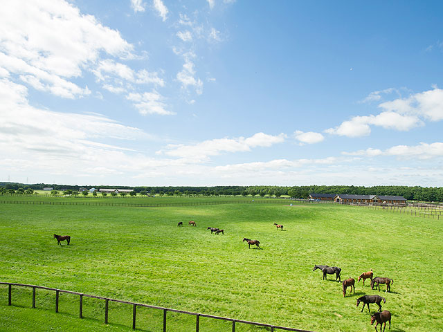 「ノーザンホースパーク」