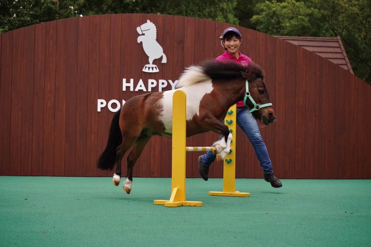 「ノーザンホースパーク」