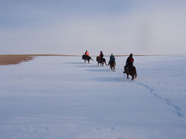 「鶴居どさんこ牧場」