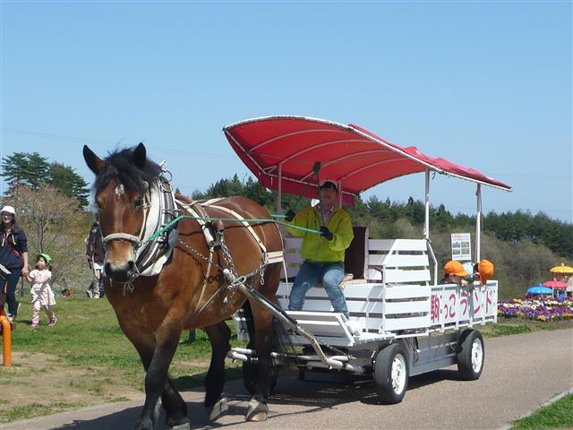 「十和田市馬事公苑(駒っこランド)」