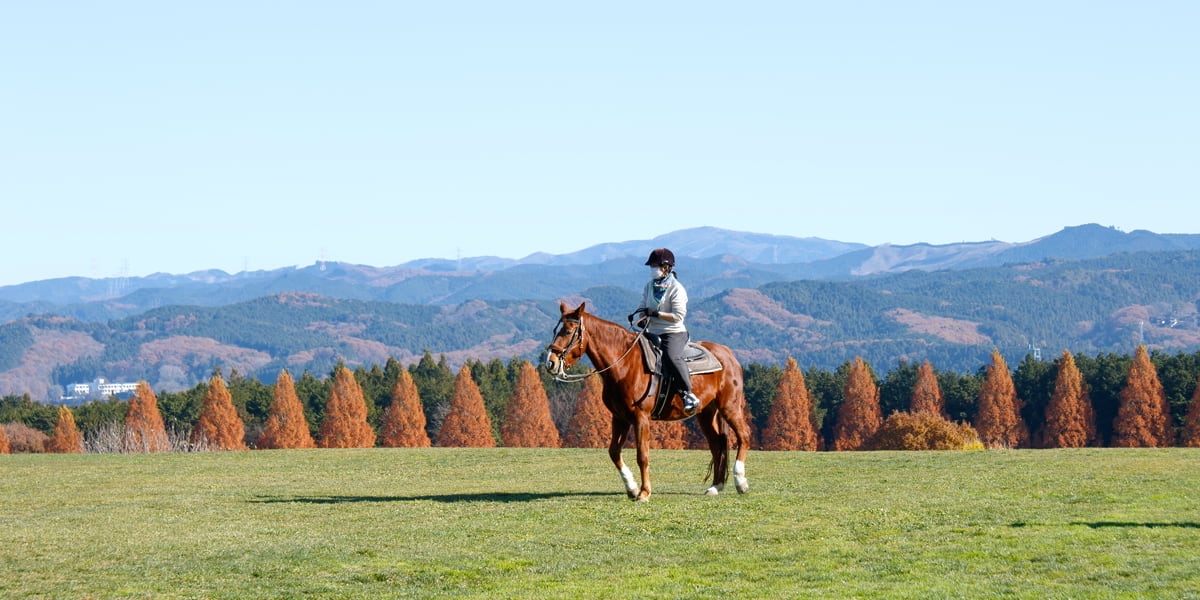 「NASU FARM VILLAGE」