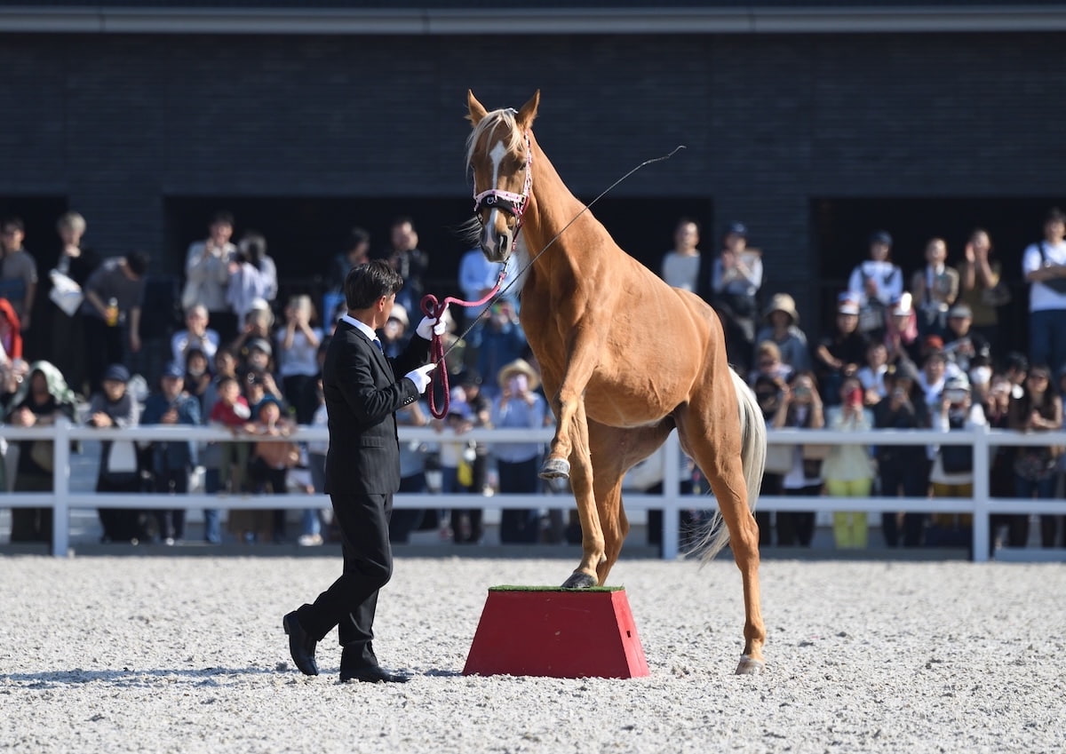 「JRA馬事公苑」