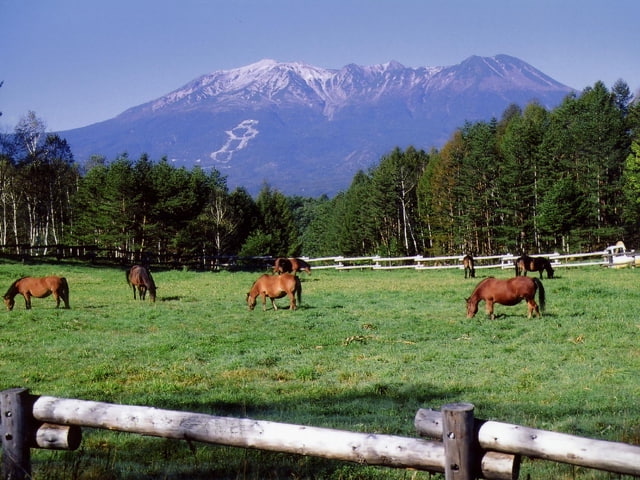 「木曽馬の里」