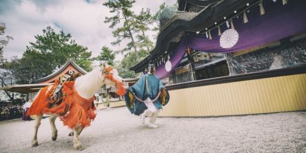 【2026年・開運】午年に縁起のいい神社仏閣8選！ うま年ご利益巡り