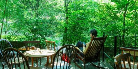 京都のおしゃれな隠れ家カフェ8選。のんびり、ゆっくり過ごせる！ ソロ活にもおすすめ