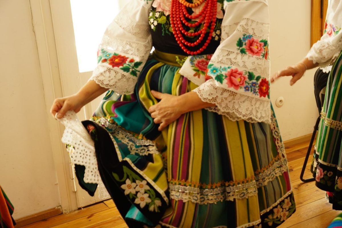 鮮やかな縞模様