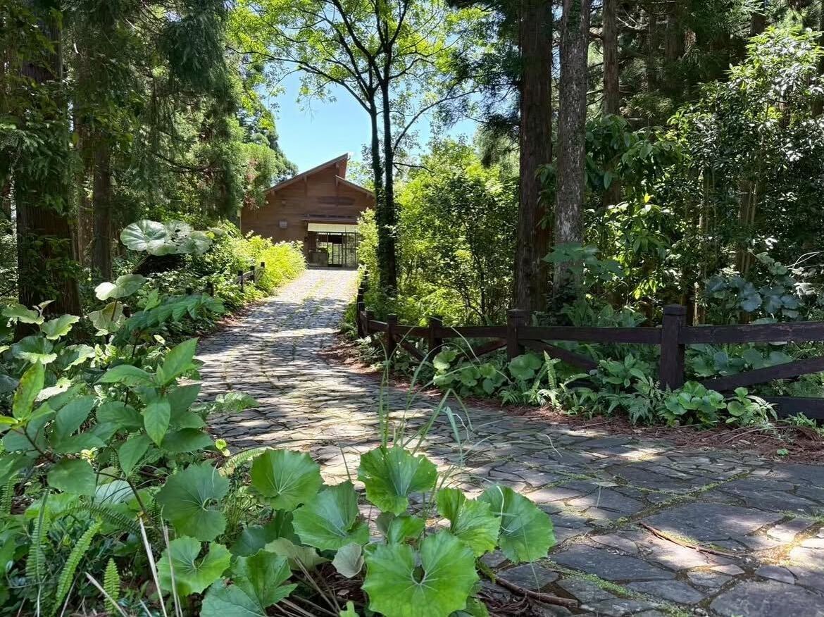 森のすぐそばにひっそりと佇むカフェ