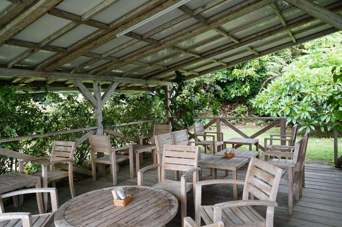 【奄美大島】自社農園のフルーツがそのままジェラートに／La Fonte