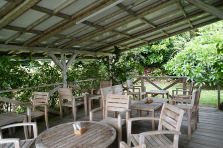 【奄美大島】自社農園のフルーツがそのままジェラートに／La Fonte