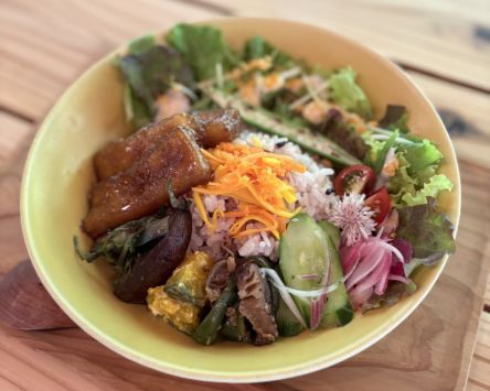 屋久島の木々に触れながら、自然とともに楽しむカフェ／Plant-based Cafe＆Act【ne-】