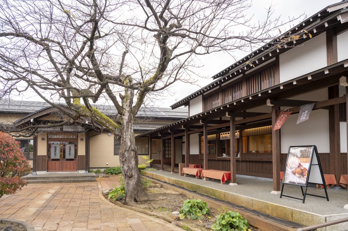 奥が古民家を活用した店舗。手前が新設した実演販売コーナー。桜の木は元からあったもの