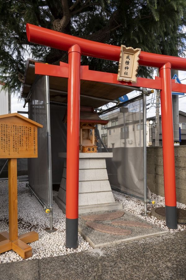 成種神社（なるたねじんじゃ)、通称‶柿の種神社