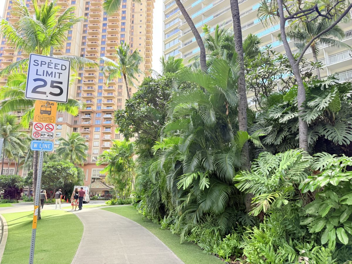 左にあるのがWラインのバス停、右に見える建物が「イリカイ ホテル＆ラグジュアリー スイート」