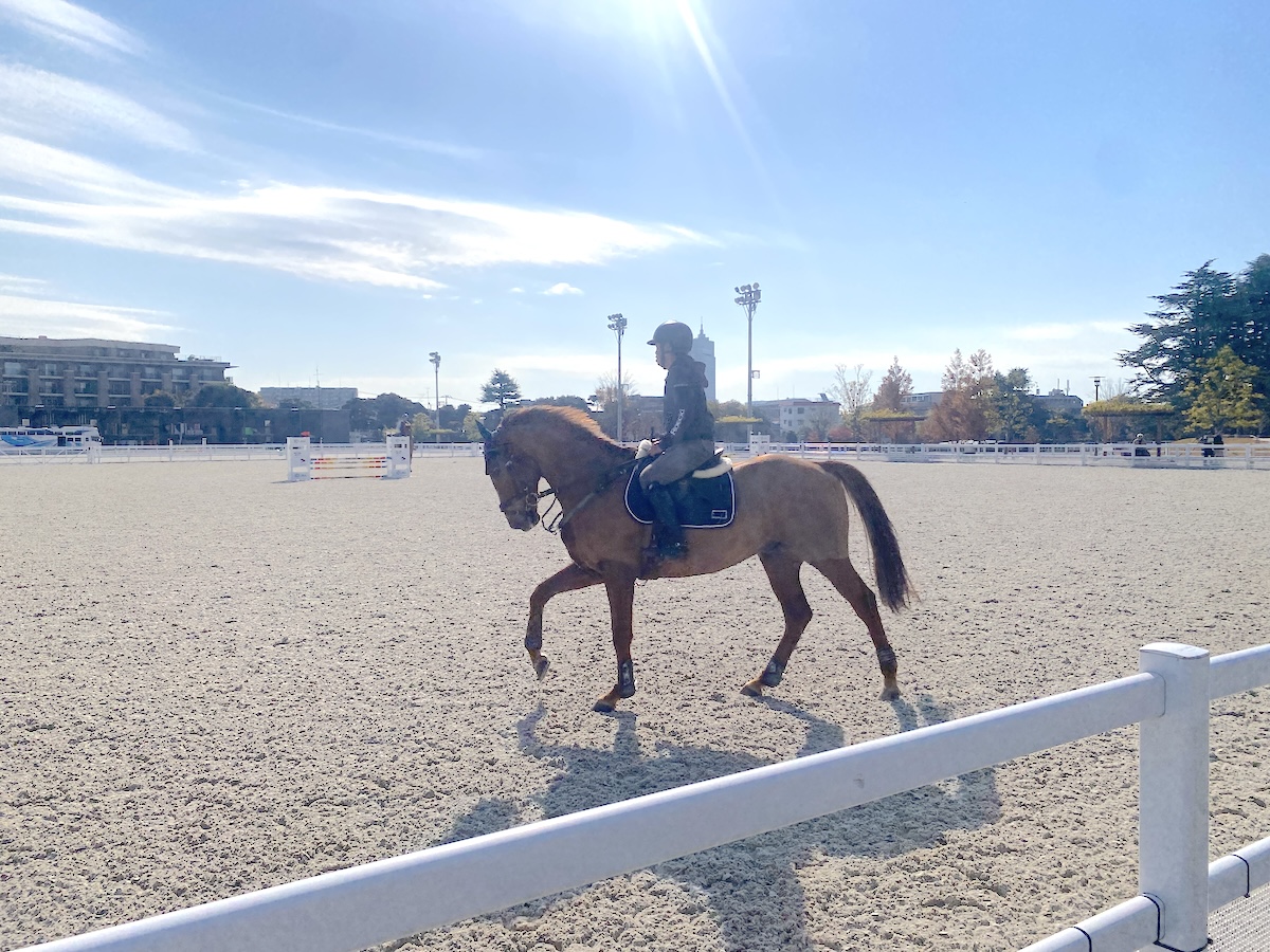 「馬事公苑」練習馬場2