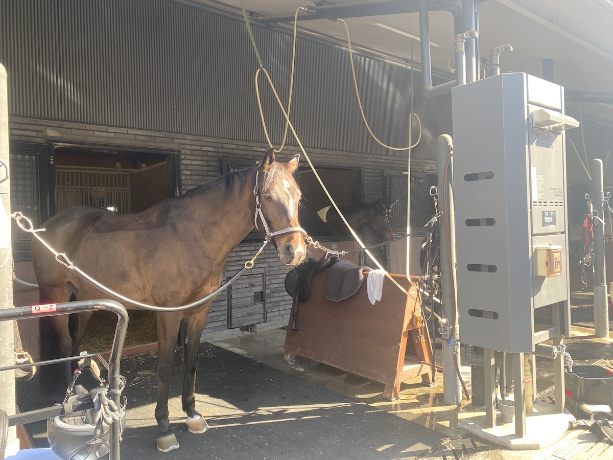 「馬事公苑」イメージカット