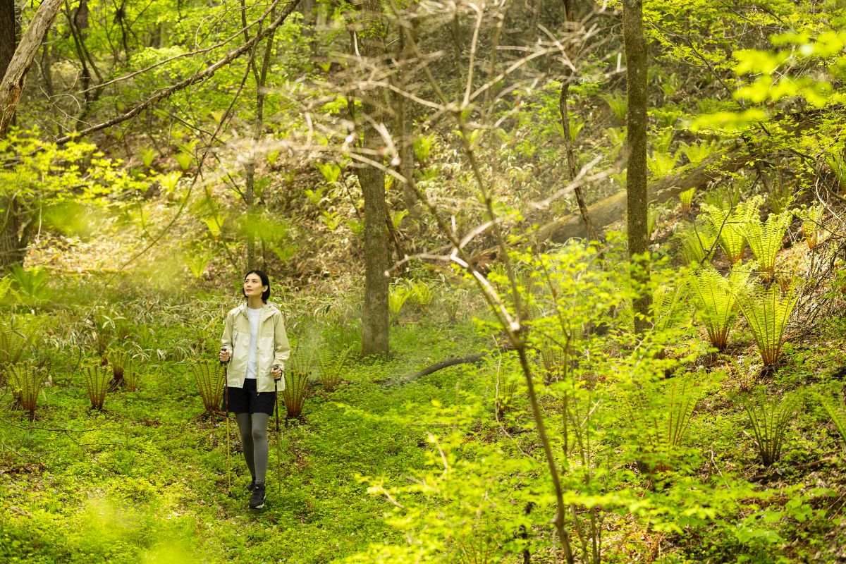 森林ウォーキング