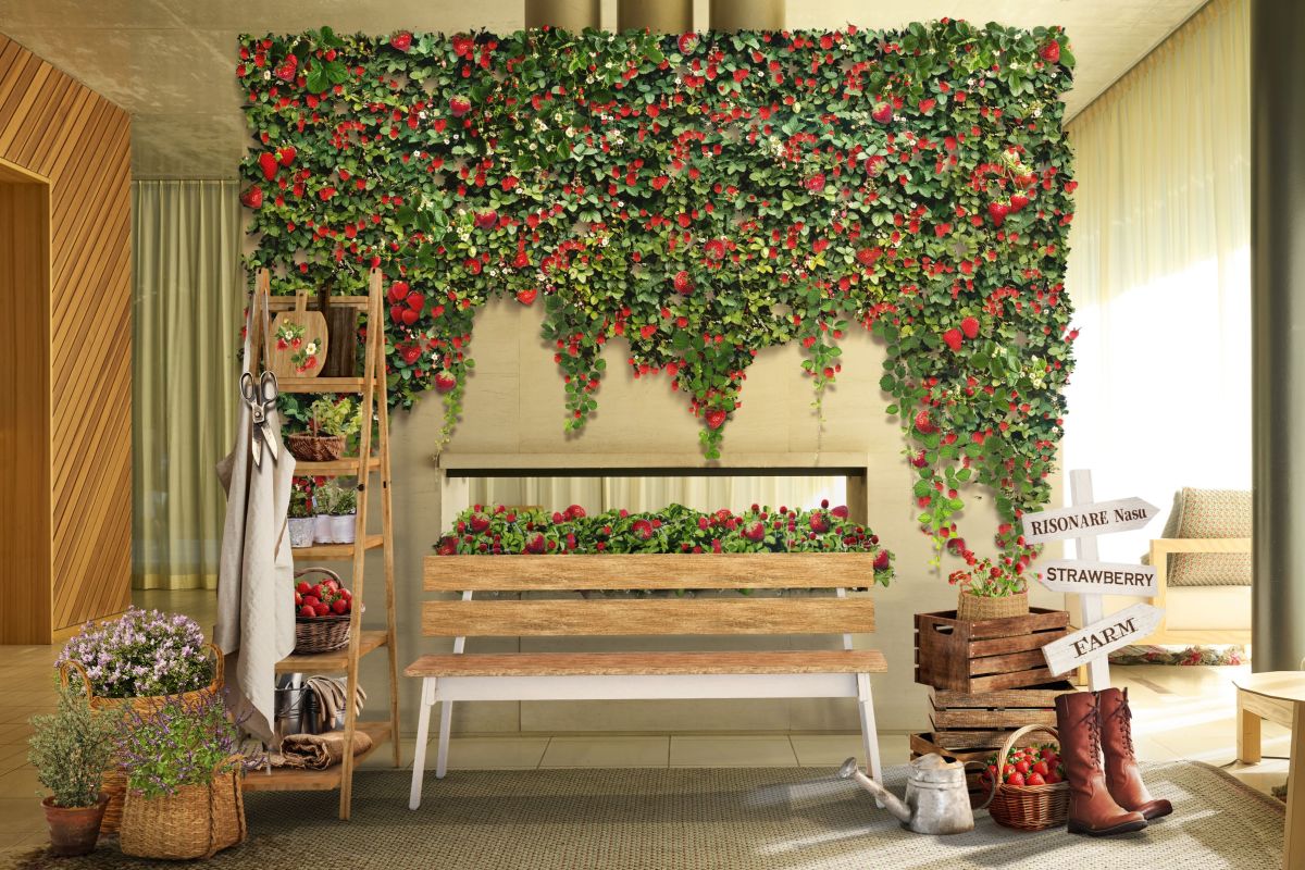 レセプション_いちご農園の空間