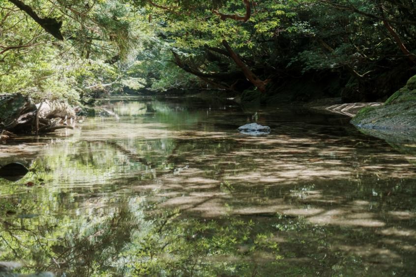 淀川登山口から淀川までは岩の根の露出した滑りやすい登山道のため、しっかり登山の準備を