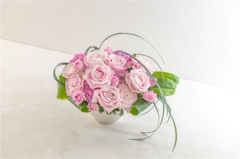 画像提供：日比谷花壇