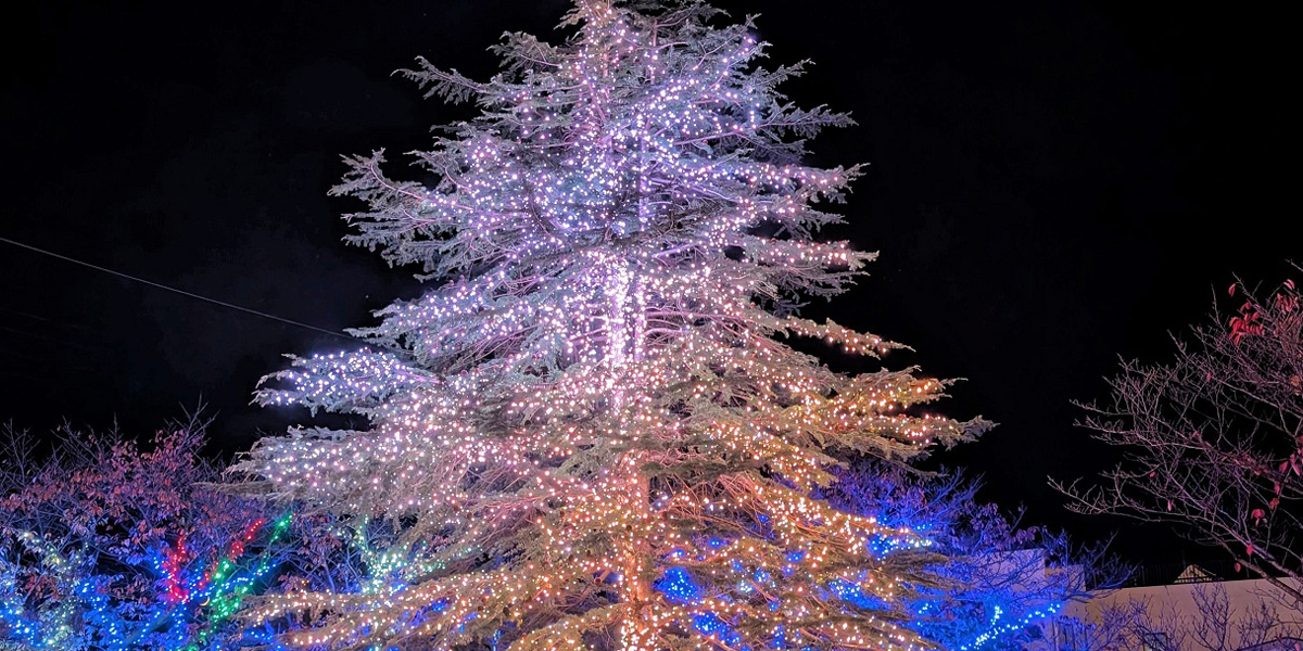 島根県のおすすめイルミネーション（2025-2026）クリスマスや冬デートに！