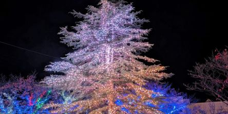 島根県のおすすめイルミネーション（2025-2026）クリスマスや冬デートに！