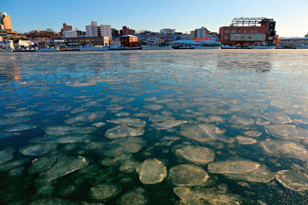 流氷ができる過程で出現するもので、大きなものでは3m、厚さは約10cmにもなる