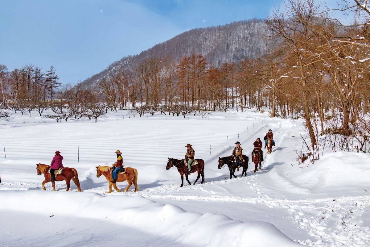 ワイルドムスタングス_329