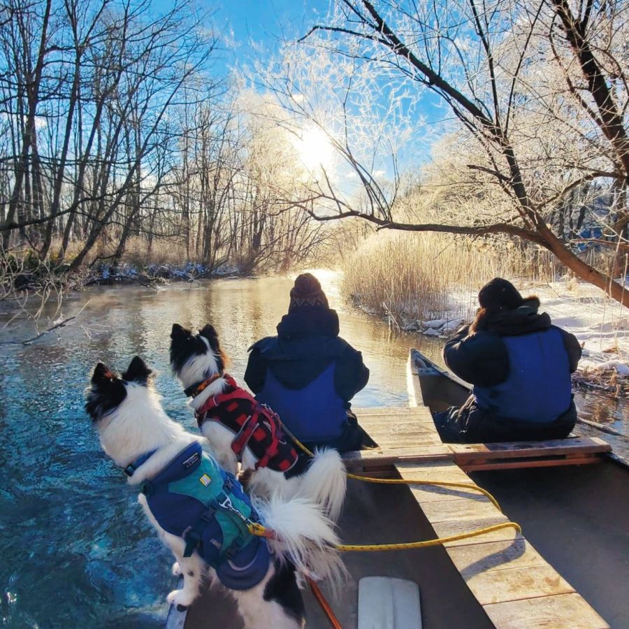 川面近くから見る景色は、違った趣がある