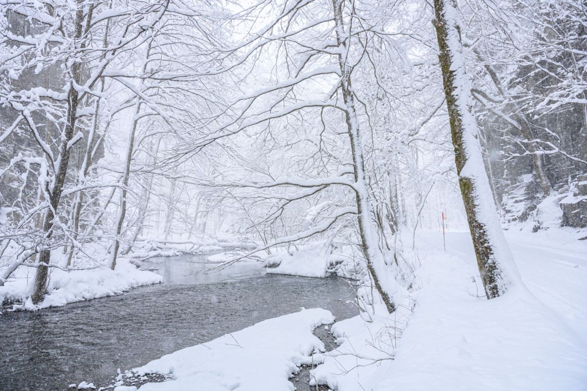 奥入瀬の雪景色