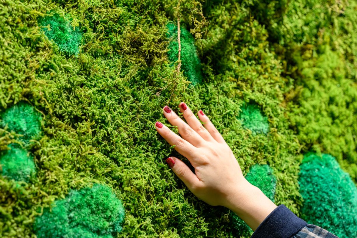 苔アートウォール