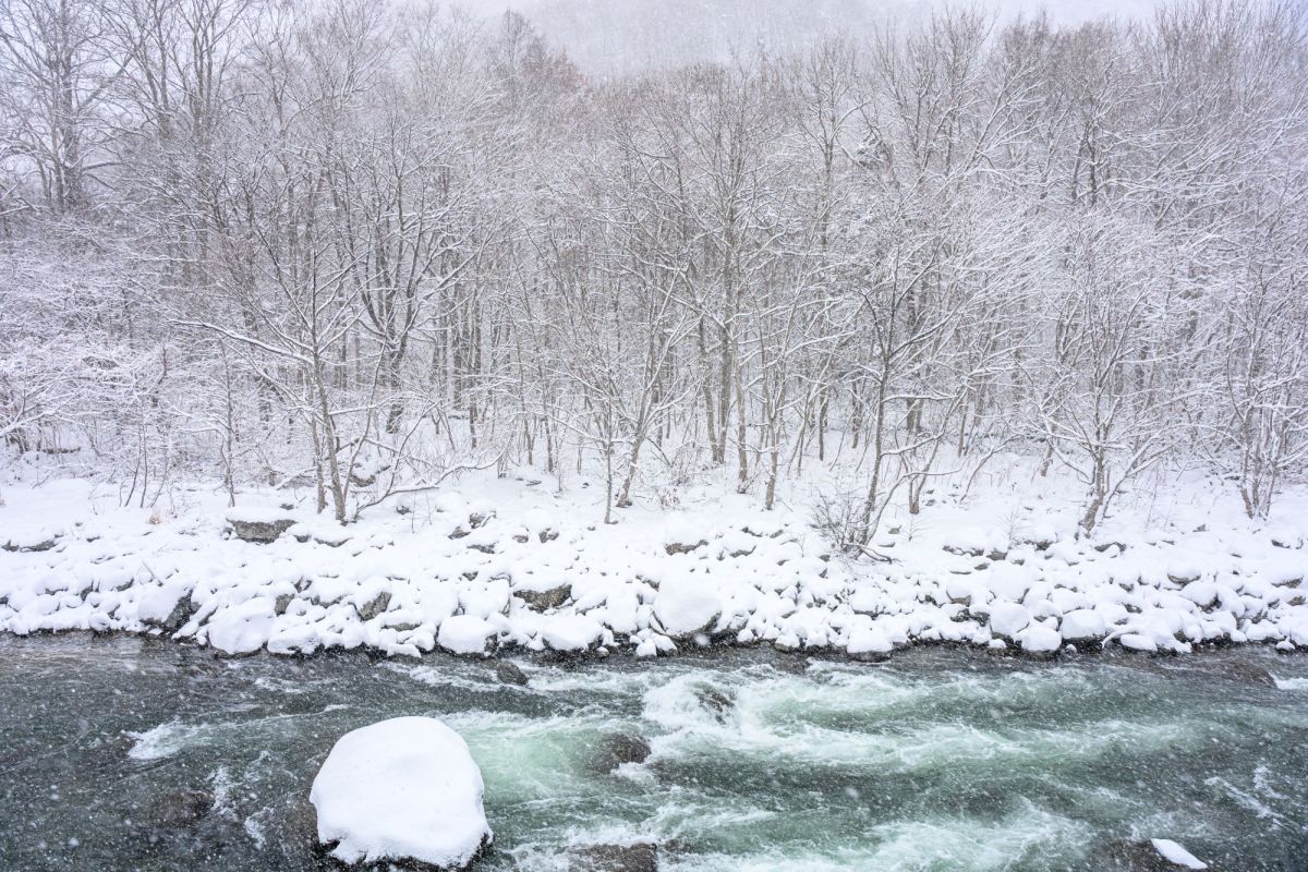渓流テラスからの景色
