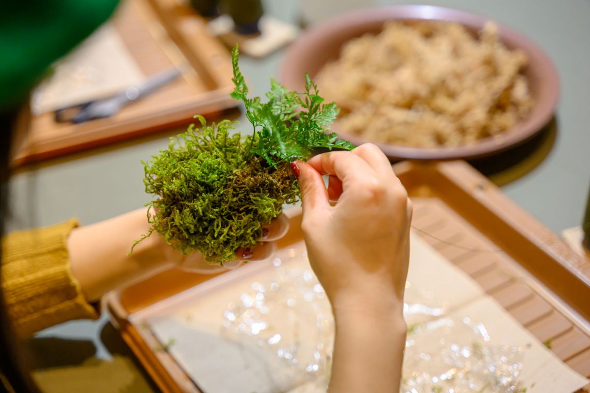 こけ玉つくり体験