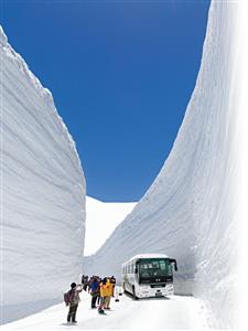雪の大谷1