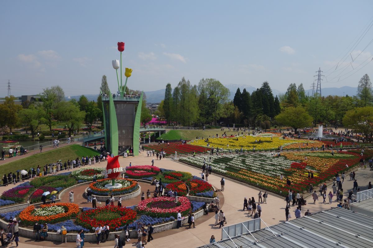 砺波チューリップ公園大花壇地上絵1