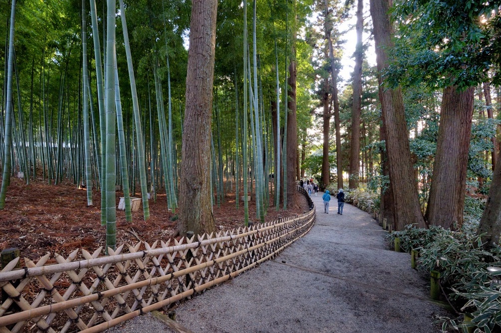一の木戸から続く孟宗竹林林