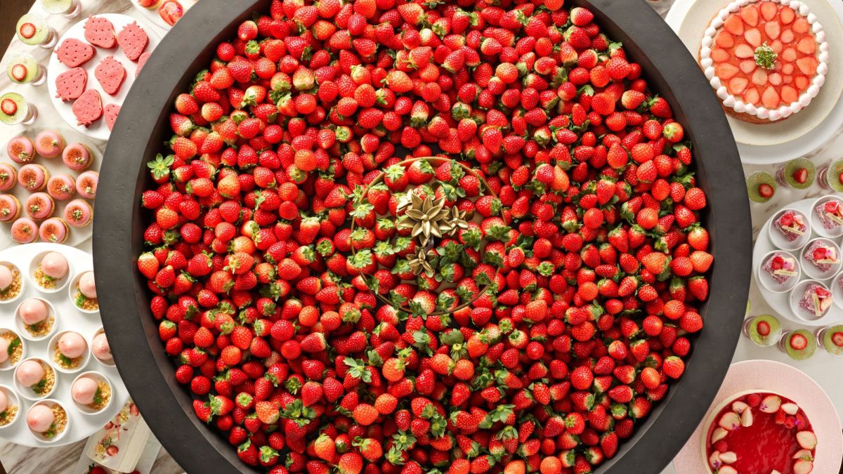 【ウェスティンホテル横浜】イチゴの季節がやってきた！3種の“いちごボウル”が主役のイチゴビュッフェ&アフタヌーンティー