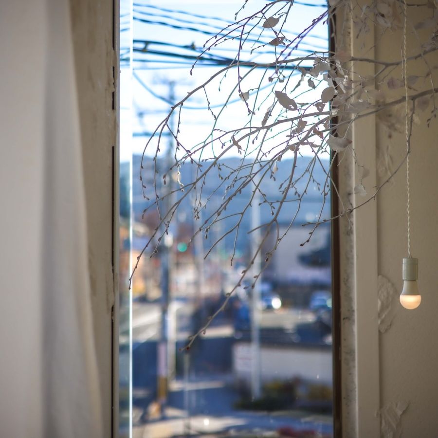 初めて訪れた秋頃は紅葉が綺麗だったなぁ。