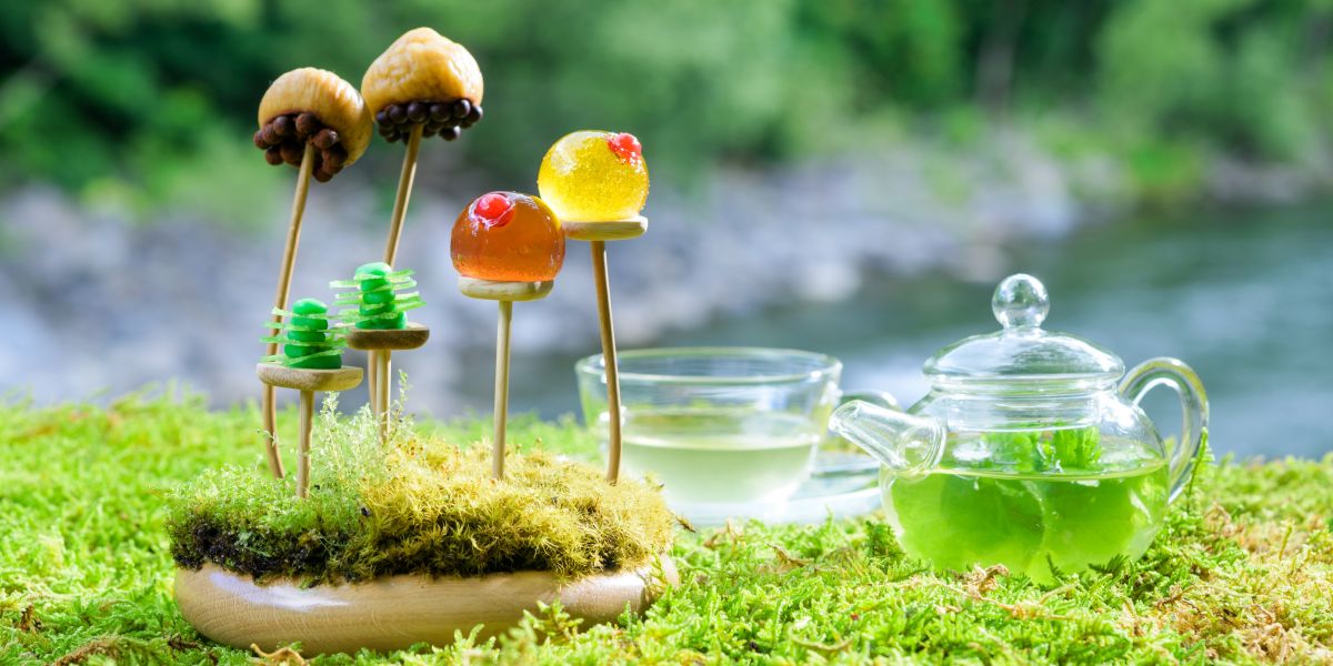 「奥入瀬渓流ホテル by 星野リゾート」の新・春の風物詩！ 苔の花を楽しむ「春のお苔見」開催