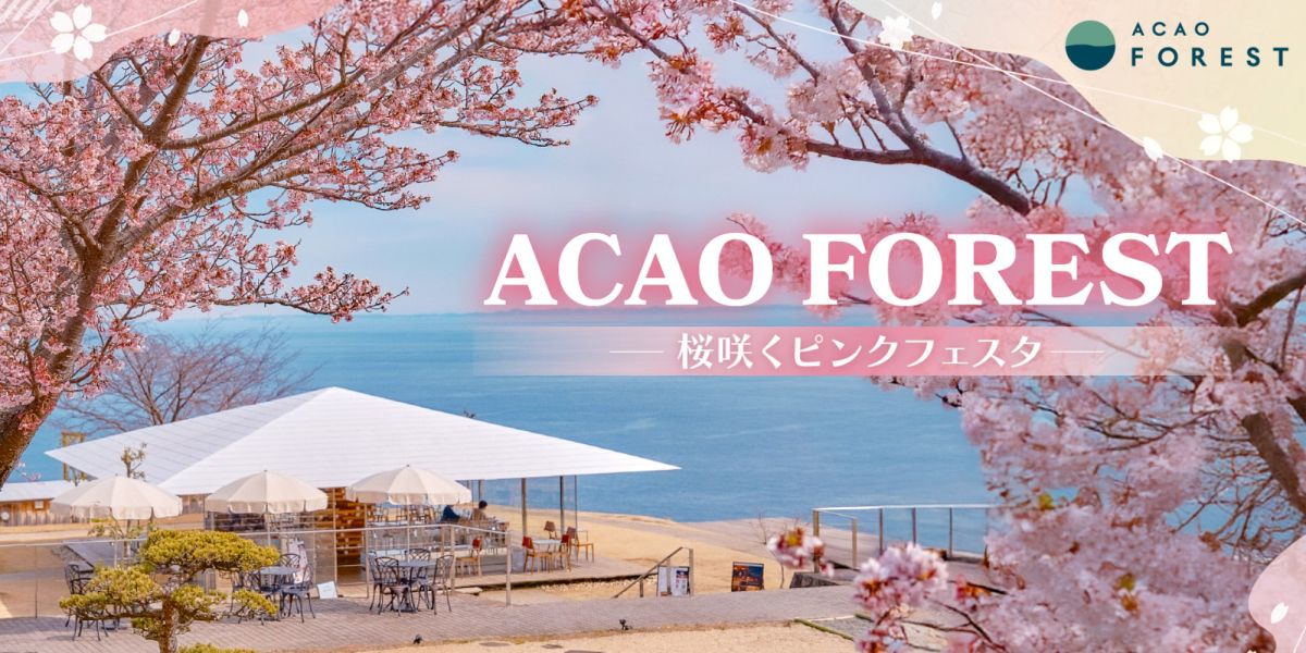 【熱海】グルメにワークショップ、フォトスポットも！桜の季節を彩るイベント「ACAO FOREST -桜咲くピンクフェスタ-」開催中
