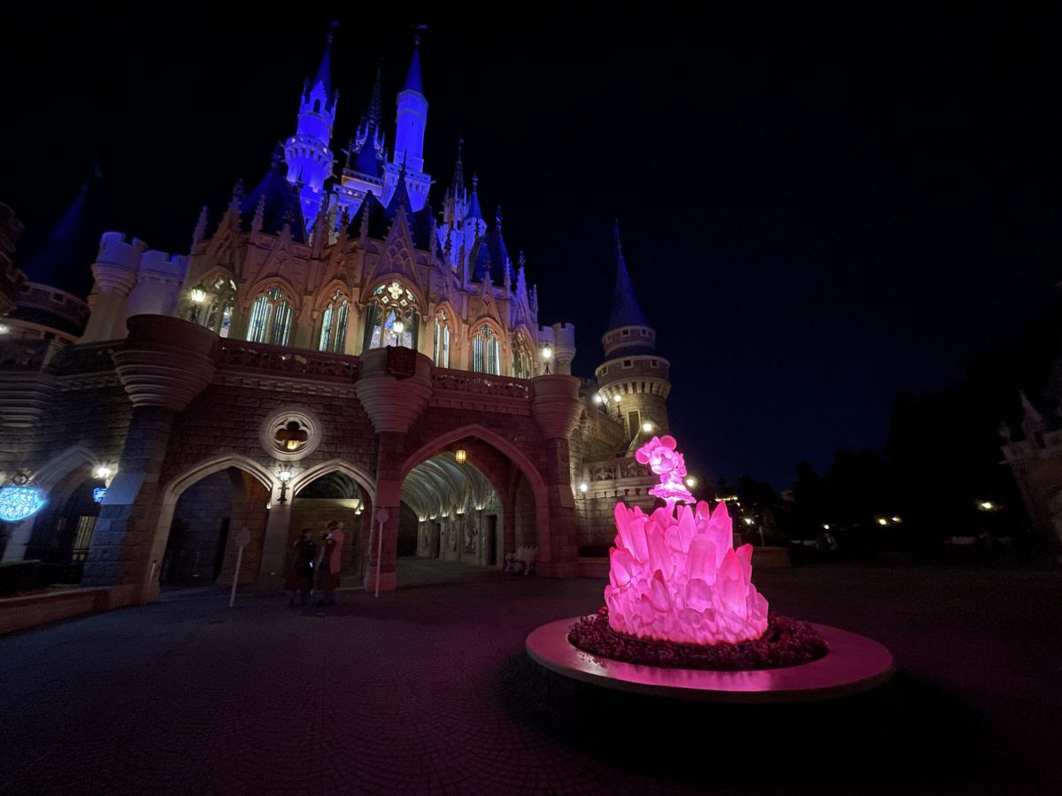 「シンデレラ城裏」は夜になると幻想的な雰囲気に。昼夜で撮影してみて！