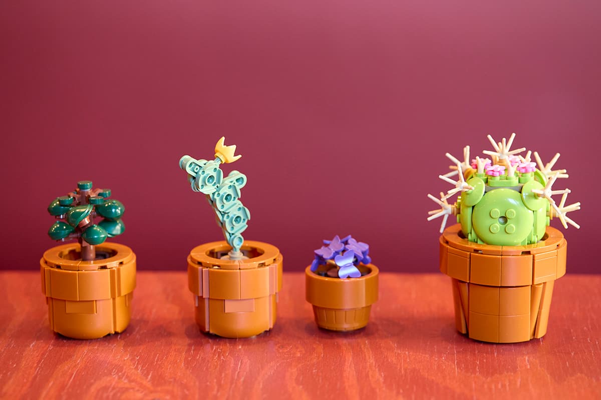 飾られた雑貨もかわいいものばかり