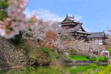 2026年ドラマで話題！豊臣秀長ゆかりの奈良・大和郡山の城下町をめぐる