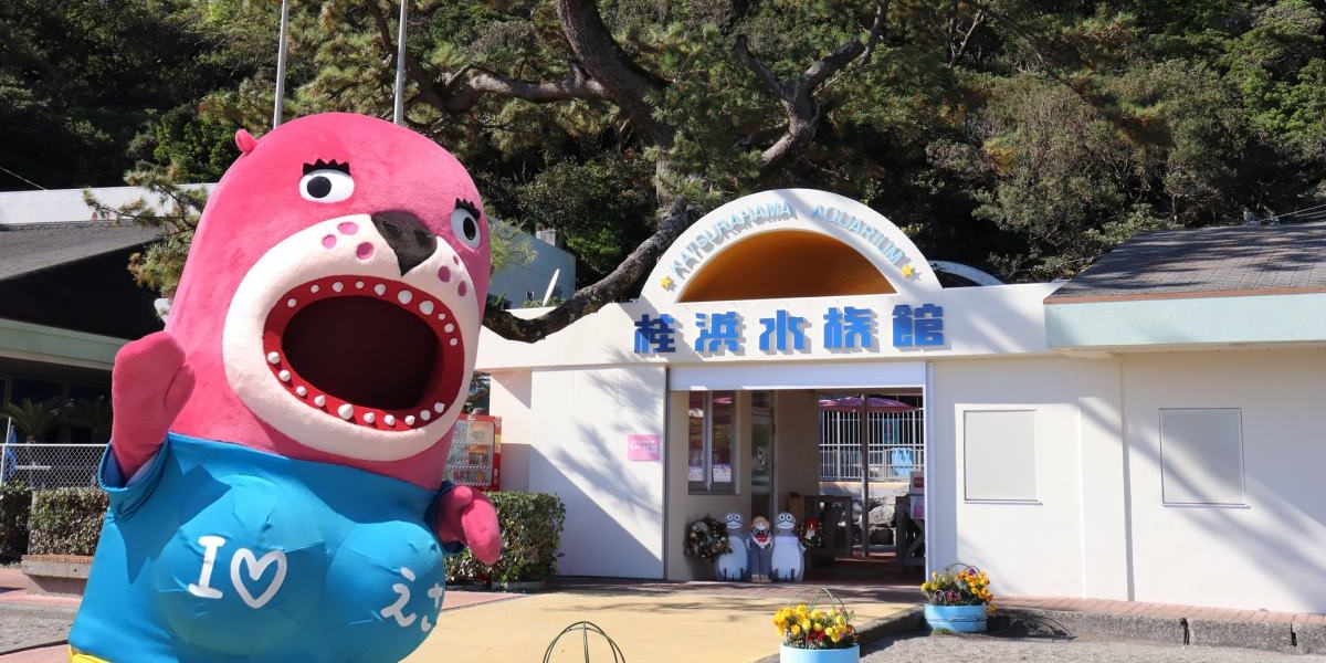 「桂浜水族館」高知のユニーク水族館の魅力に迫る！