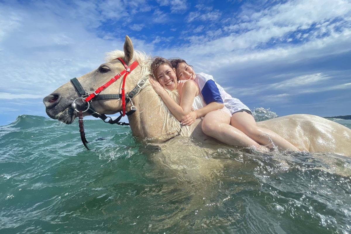 「海馬」平日2万5000円（初心者プランは2万8500円）、土日祝2万8500円（初心者プランは3万2000円）