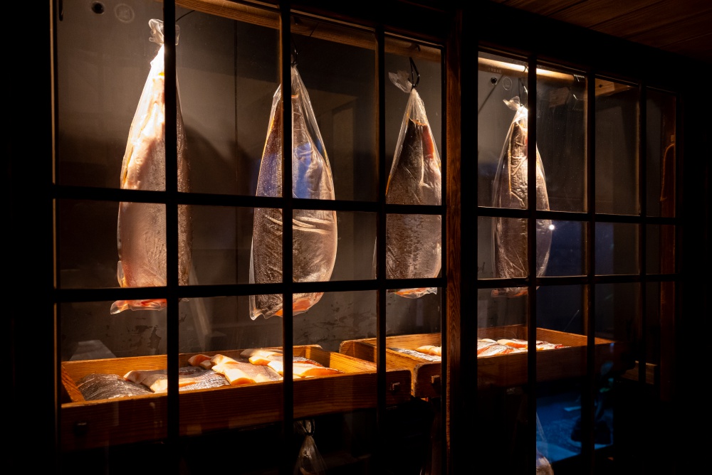 「鮭専用熟成セラー」に並ぶ立派な銀鮭