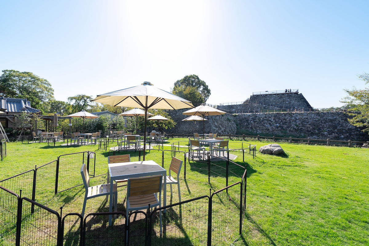 【奈良・大和郡山】豊臣秀長ゆかりの地めぐりで行きたいランチ＆カフェ７選